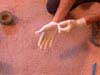 latex gloves